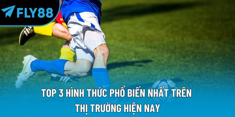 Top 3 hình thức phổ biến nhất trên thị trường hiện nay