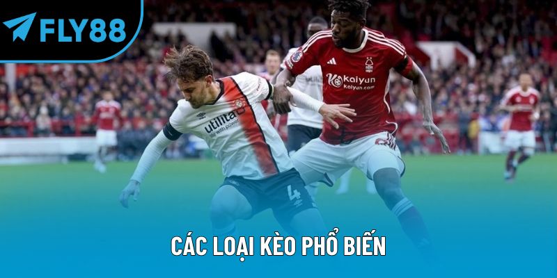 Các loại kèo phổ biến